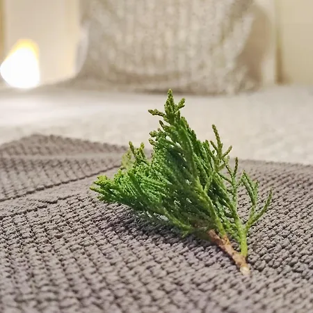 Lantställe Casa Do Parada Messegães