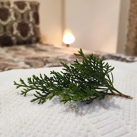 Casa Do Parada Messegães