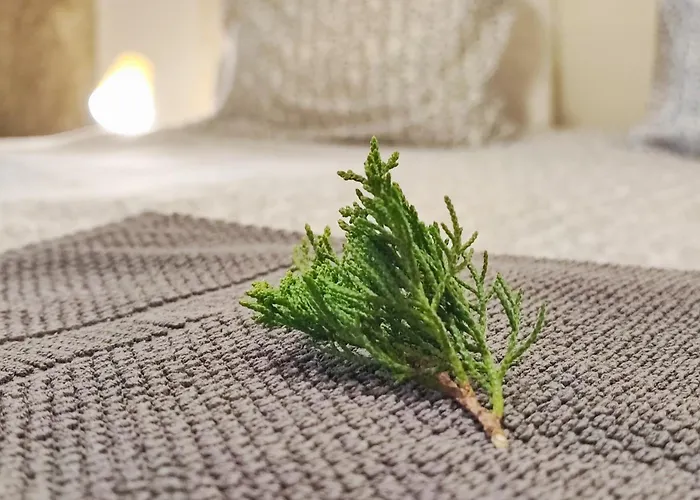 Gospodarstwo wiejskie Casa Do Parada Messegães