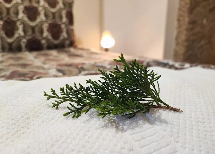 Casa Do Parada Messegães